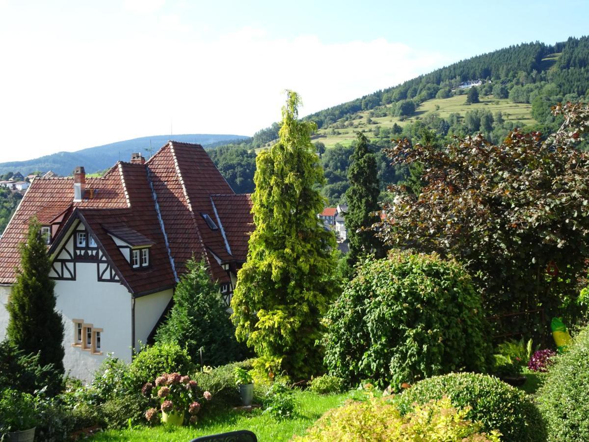 Rauenstein Ferienwohnung Panorama מראה חיצוני תמונה