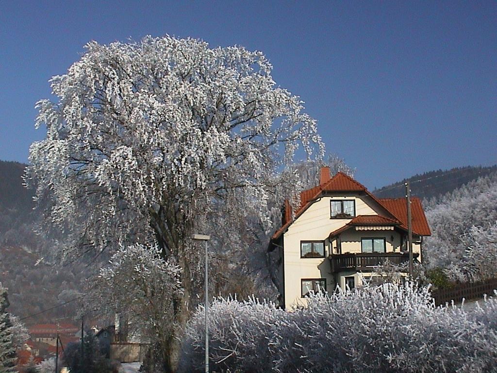 Rauenstein Ferienwohnung Panorama מראה חיצוני תמונה