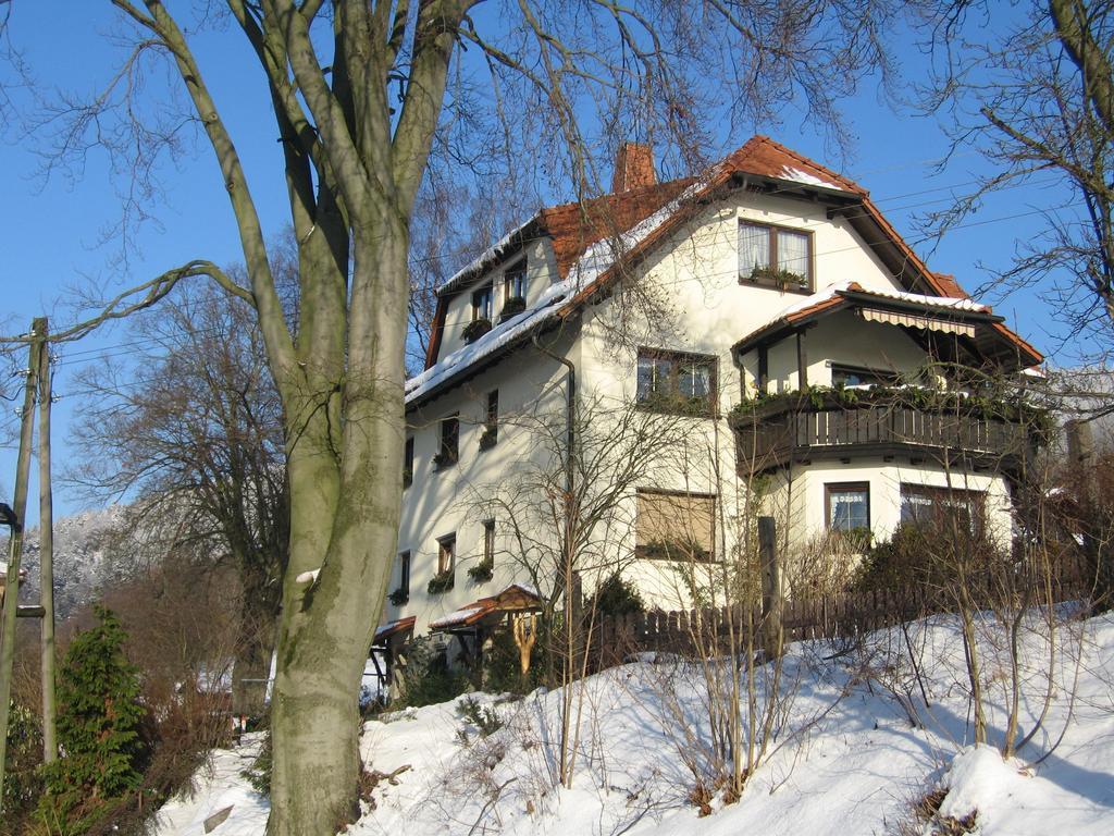 Rauenstein Ferienwohnung Panorama מראה חיצוני תמונה