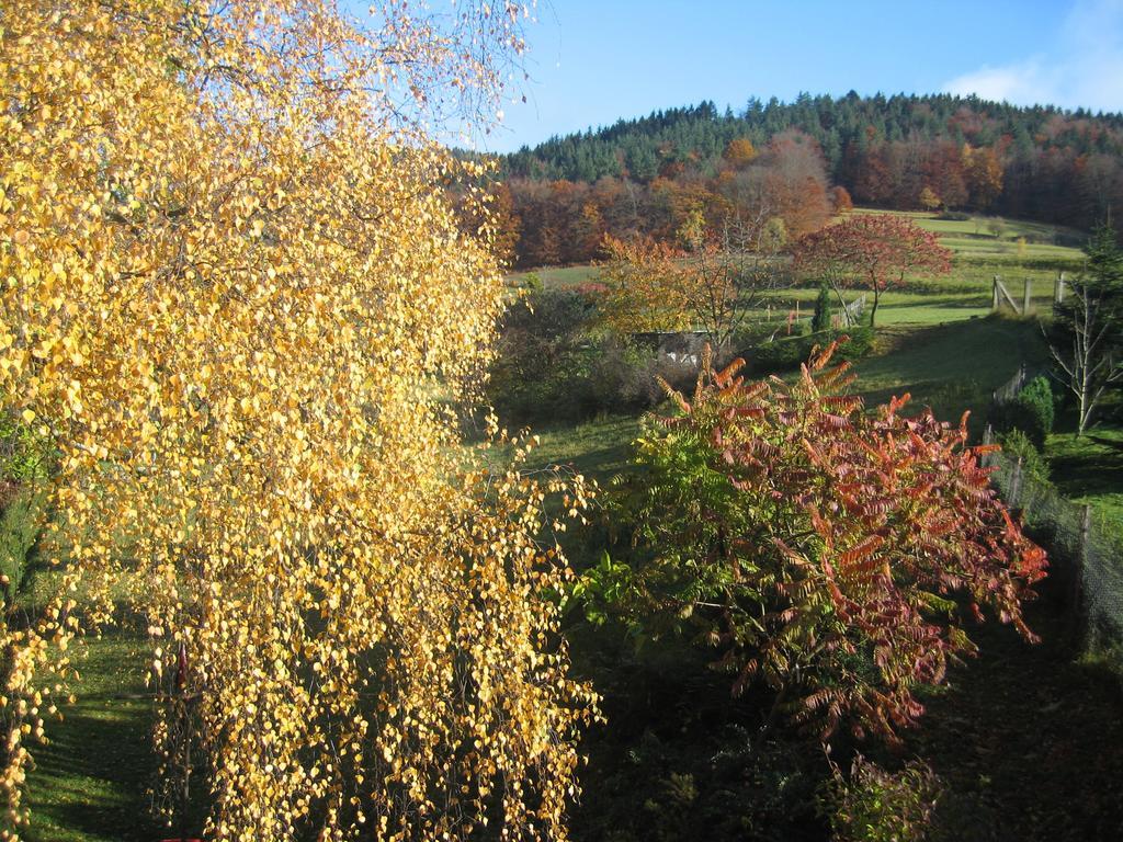 Rauenstein Ferienwohnung Panorama מראה חיצוני תמונה