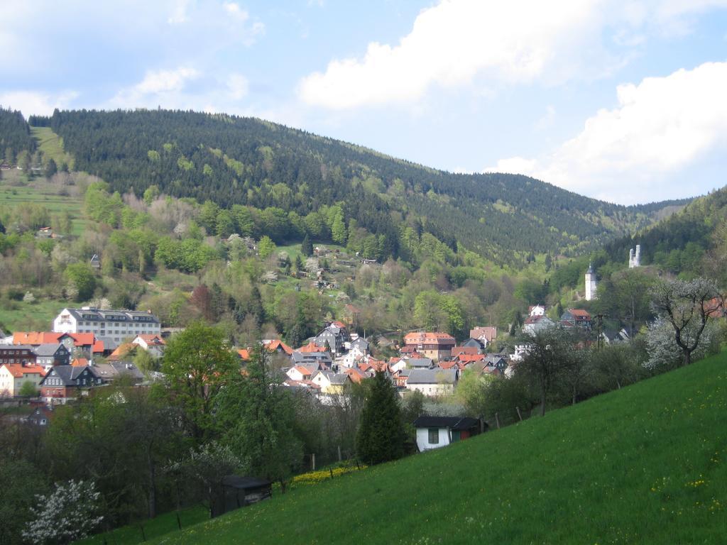 Rauenstein Ferienwohnung Panorama מראה חיצוני תמונה