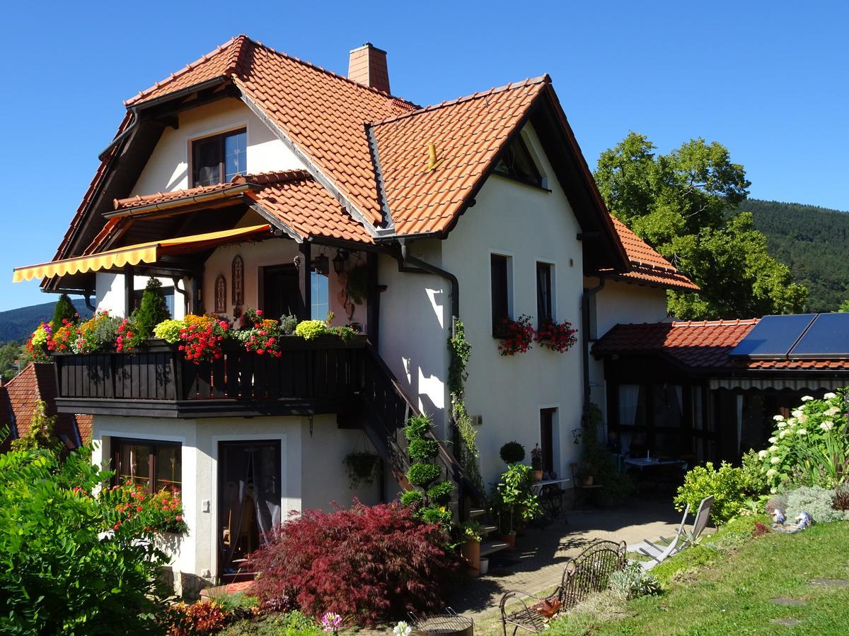 Rauenstein Ferienwohnung Panorama מראה חיצוני תמונה